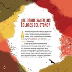 Ciencia para pasar el otoño - tienda online