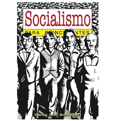 Socialismo para principiantes - Ianni/ Bauer