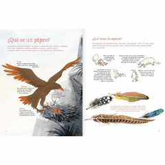 Vuelo de pájaros americanos - Juan José Donoso y Raquel Echenique - comprar online