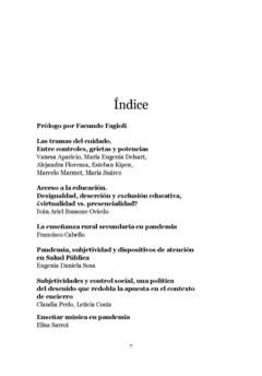 La crisis del sentido común. Pandemia. Entre controles, grietas y potencias - comprar online