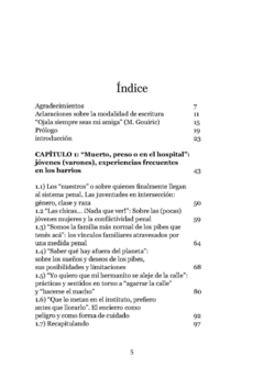 Los pibes en el barrio. Juventudes, territorio y políticas sociopenales desde un enfoque interseccional - comprar online