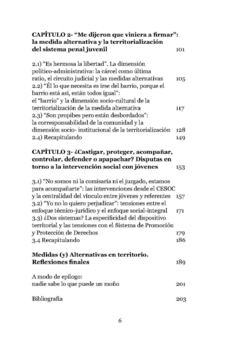 Los pibes en el barrio. Juventudes, territorio y políticas sociopenales desde un enfoque interseccional on internet