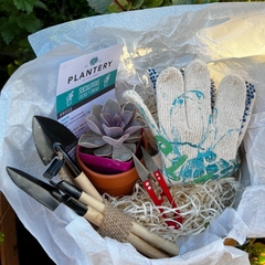 GARDEN BOX: set herramientas+ mini sucu+maceta barro chica+ sustratos+guantes+tijera gajos - comprar online