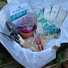 GARDEN BOX: set herramientas+ mini sucu+maceta barro chica+ sustratos+guantes+tijera gajos - Plantery