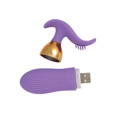 Plug anal vibrador a control remoto The beat tickler en internet