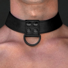 Bondage Fetish Black Matt Collar With Leash - Inttimus Sex Shop