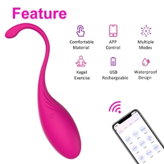 Vibrador bala kegel con APP