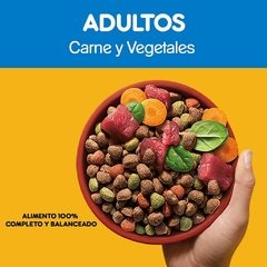 PEDIGREE ADULTO CARNE Y VEGETALES X 21 KG - Timoteo Pet Shop