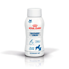 ROYAL CANIN LIQUID RECOVERY - comprar online