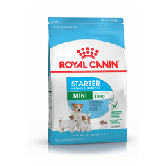 ROYAL CANIN MINI STARTER - comprar online