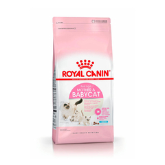 ROYAL CANIN MOTHER & BABY CAT