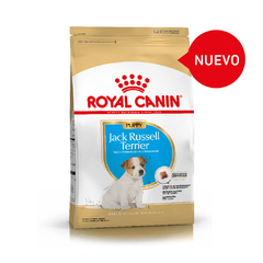 ROYAL CANIN JACK RUSSELL JUNIOR