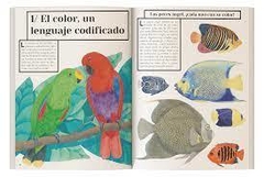 Color animal - Emmanuelle Figueras - Claire De Gastold - comprar online