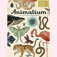 Animalium - Katie Scott / Jenny Broom