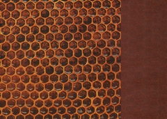 PANAL de ABEJAS- 15x15cm -20hojas bifaz. Marca Tuttle