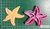 Cortante Estrella De Mar 8cm con cortante exterior