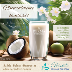 Leite NutraVeg Equilíbrio - comprar online