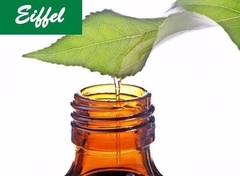 Tea Tree Essential Oil - Premium Line - online store