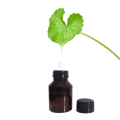 Gotu Kola Glycolic Extract - Cosmetic Use