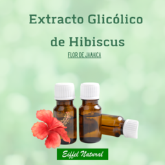 Glycolic Extract of Hibuscus -Jamaica Flower