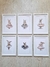 Bunnies in tutú. SET x6 cuadros a elección - comprar online