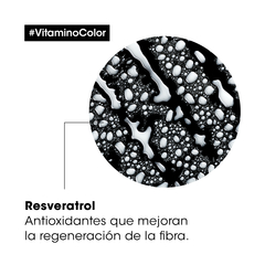 Imagen de Spray Vitamino Color Serie Expert x190ml - Loreal