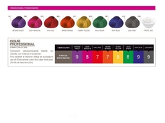 Issue Tintura X3 Cibercolores Semipermanente Fantasía 70gr - comprar online