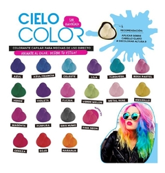 Tintura X6 Fantasia Cielo Color Otowil 47gr Coloración - comprar online