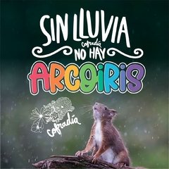 Sin lluvia no hay arcoiris en internet