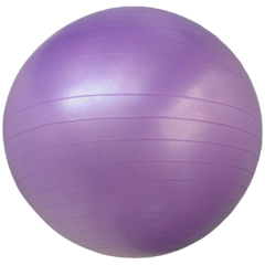 pelota esferodinamia 85cm importada