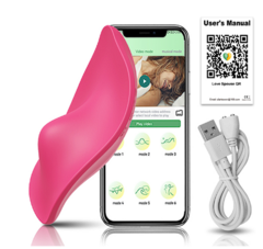 VIBRADOR PARA PANTY CON APP SPY SECRET - comprar en línea