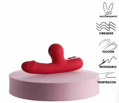 VIBRADOR DE SUCCION Y CALEFACCION RED PASSIONAL