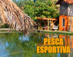 PESCA ESPORTIVA - NÃO SÓCIOS - comprar online