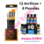 Promo 12 Acrilicos EQ + 6 Pinceles Premium