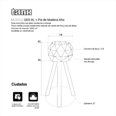 Pack x2 Maceta | GEO XL + Pie - TANK Fábrica de Diseño