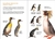 AVES DE ARGENTINA - comprar online