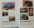 Las tortugas continentales de Sudamérica Austral - comprar online