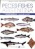Peces. Fishes. Argentina - Aguas Marinas