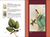 Guía de picaflores y colibríes - comprar online