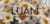 Banner de LUAM