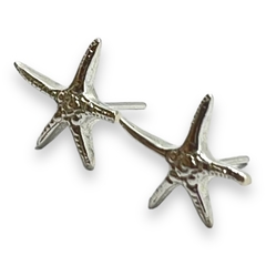 ART 1 Aros Pasantes Estrella de Mar-2 Plata 925 - comprar online