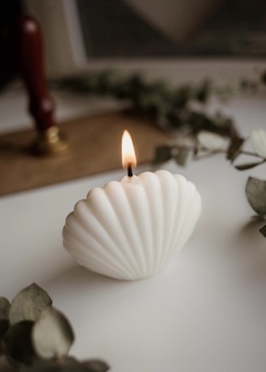 Shell Candle - comprar online