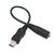 Cable Adaptador Mini Usb A 3,5mm Para Microfono En Go Pro - TecnoEshop CBA