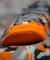 Nike Metcon 8 AMP - Camo Orange - comprar online