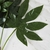 7 RAMAS DE FATSIA JAPONICA 79 CM (090880) - comprar online