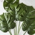 7 RAMAS DE MONSTERA 74 CM (090866) - comprar online