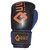 Guantes Boxeo Kick Boxing 14 Oz Box - comprar online