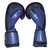 Guantes Boxeo Kick Boxing 14 Oz Box en internet