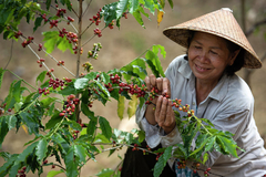 Banner de la categoría Asia