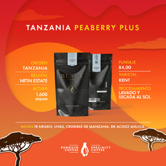 Tanzania peaberry plus - comprar online
